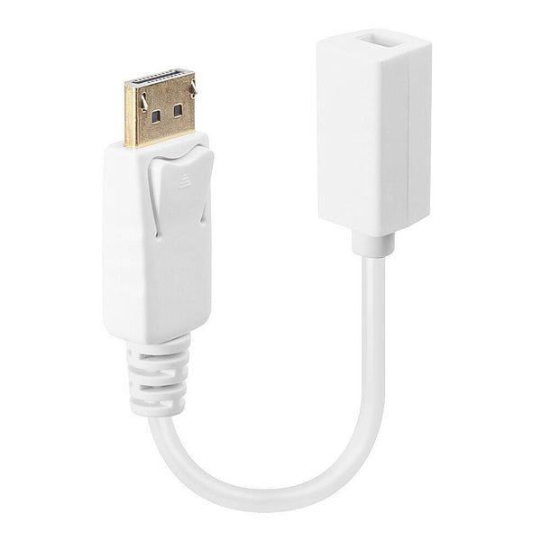 DisplayPort: Dp(M) / Mini-Dp(F)