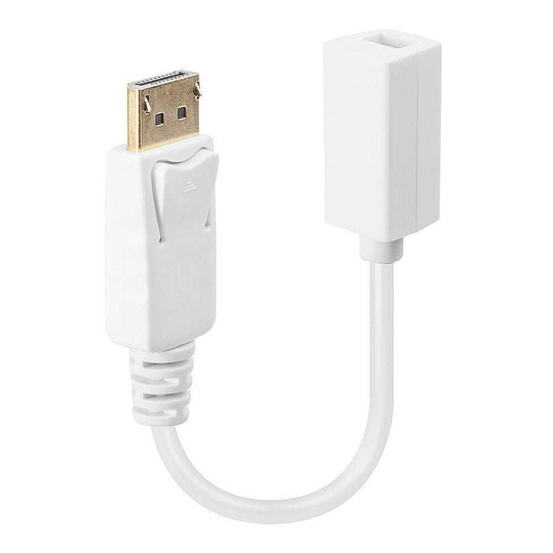 DisplayPort: Dp(M) / Mini-Dp(F)